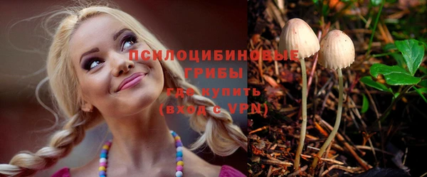 крисы Баксан