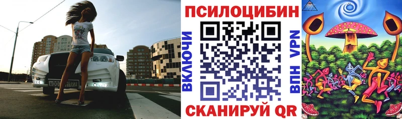 Купить закладки  Иланский  Псилоцибиновые грибы мицелий 